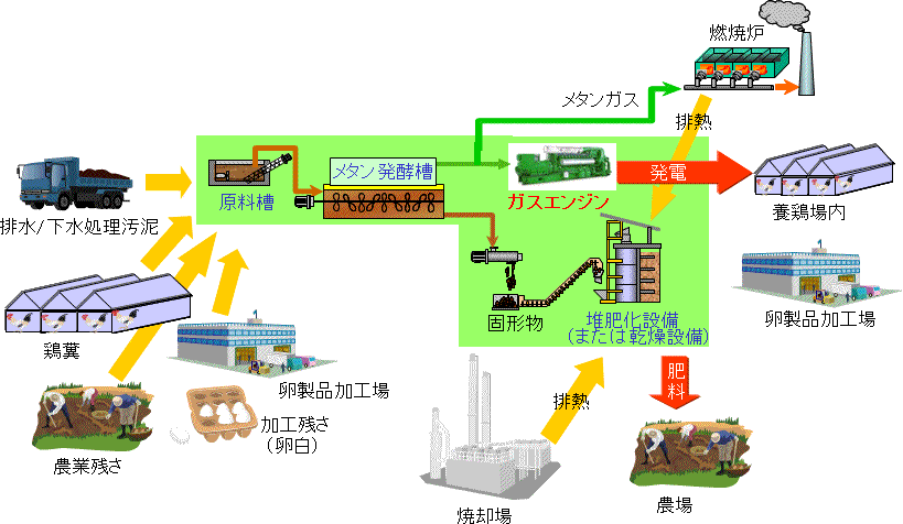 養鶏場と地域産業のコラボレーション例